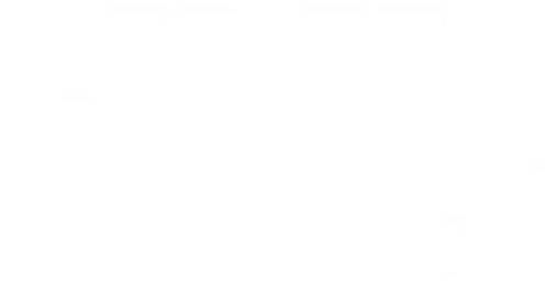 de FrietVrienden
